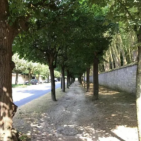 Studio Marly-Le-Roi